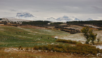 Snowy Mountain Ranch 2