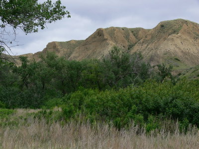 The Coulees