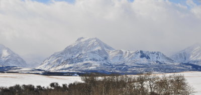 Mountain Vista