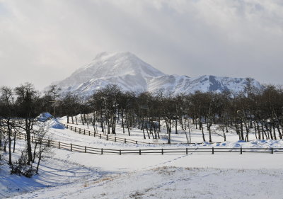 Mountain Vista 3