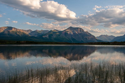 Still Waters