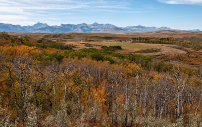 Autumn Vista