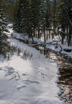 Along The Mountain Stream
