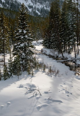 Along The Mountain Stream 2