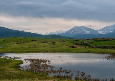 Mountain Pond
