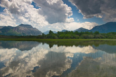 Mirrored