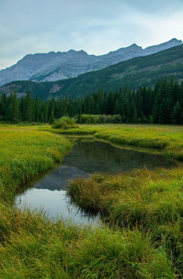 Stream At Top Of Mountain Pass