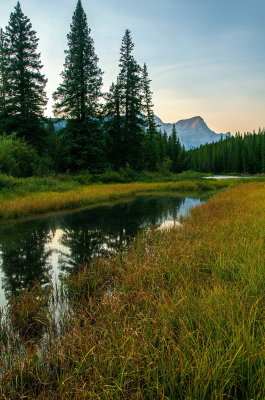 Stream At Top Of Mountain Pass 2