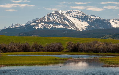 Spring Vista 2