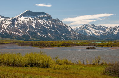 Spring Vista 3