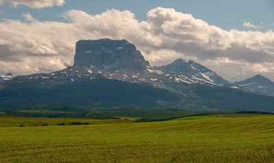 Spring Vista 7
