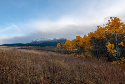 Autumn Changes