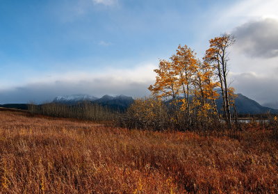 Autumn Changes 2