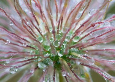 Many Drops