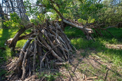Gifting Along The Bent Tree