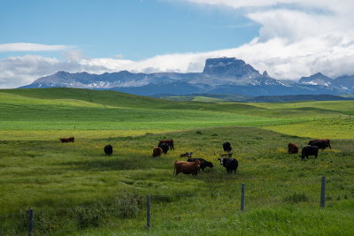 Chief Mountain