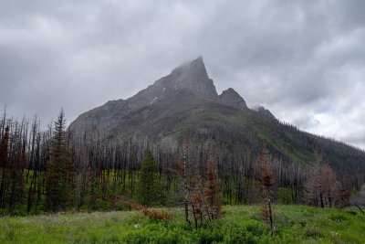 After The Fire