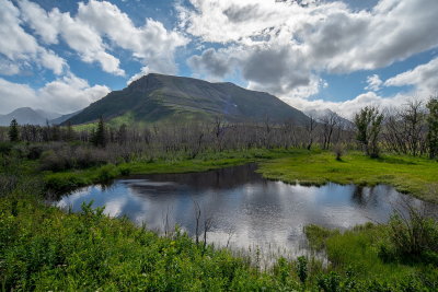 Pond