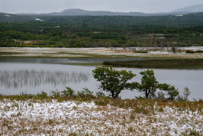 First Winter Snowfall 2