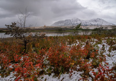 First Winter Snowfall 4
