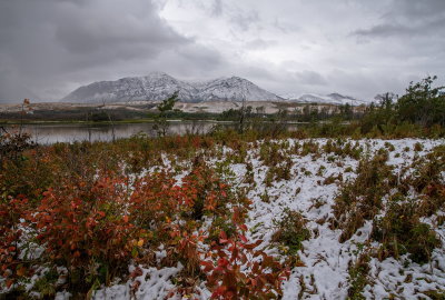 First Winter Snowfall 5