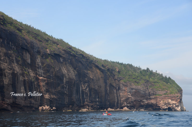 Gaspesie_2016_DSC_4200_site.jpg