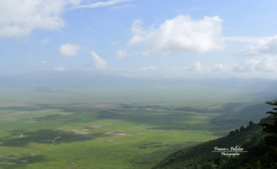 :: Cratère  de Ngorongoro ::