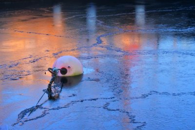 Buoy on the ice