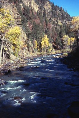 Animas River