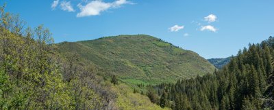 Mad Creek Trail Vista