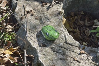 'Frog Rock'