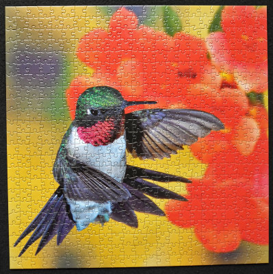 'Hummingbird III' by Richard Dumoulin