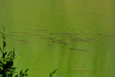 g12/02/1030802/3/170635377.DK2fgZoX.jpg
