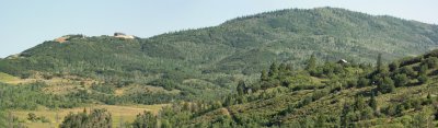 Soda Creek Landscape 'SandyLand'