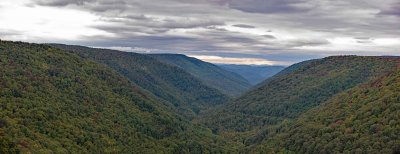 Lindy Point View