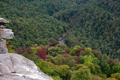 Blackwater River from Lindy Point