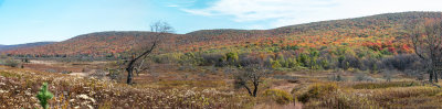 Canaan Valley in Fall Colors