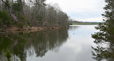 Spring View East Arm of Lake Frederick