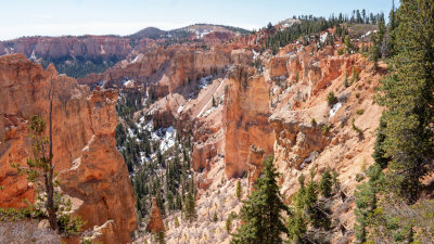 Black Birch Canyon