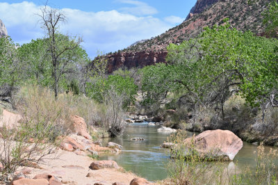 Virgin River