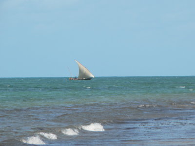dhow on the Indian ocean.JPG