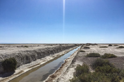 Creek through salt flats