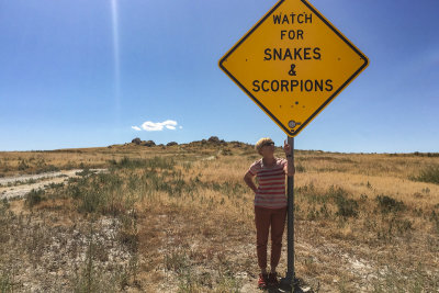 Watch for snakes and scorpions