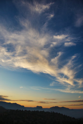 4Y5R0815.jpg