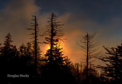 Sunrise at Clingman's Dome. July 19, 2019