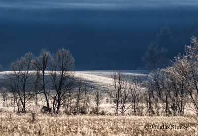 Frosty Cades Cove