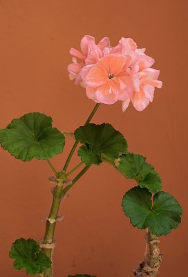 g12/02/422202/3/169710992.FHhouzVN.jpg