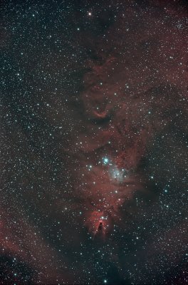 NGC2264 - Cone Nebula and Christmas Tree Cluster 17-Nov-2020