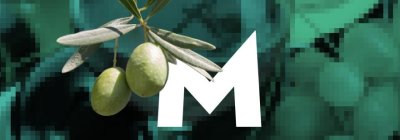 Nutrition, Mediterranean Diet, and Management of Cardiovascular Diseases (with community educational support)