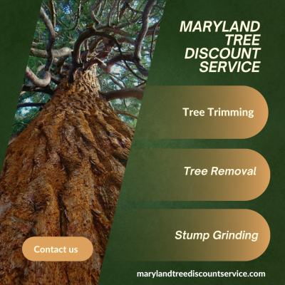 MARYLAND TREE DISCOUNT SERVICE